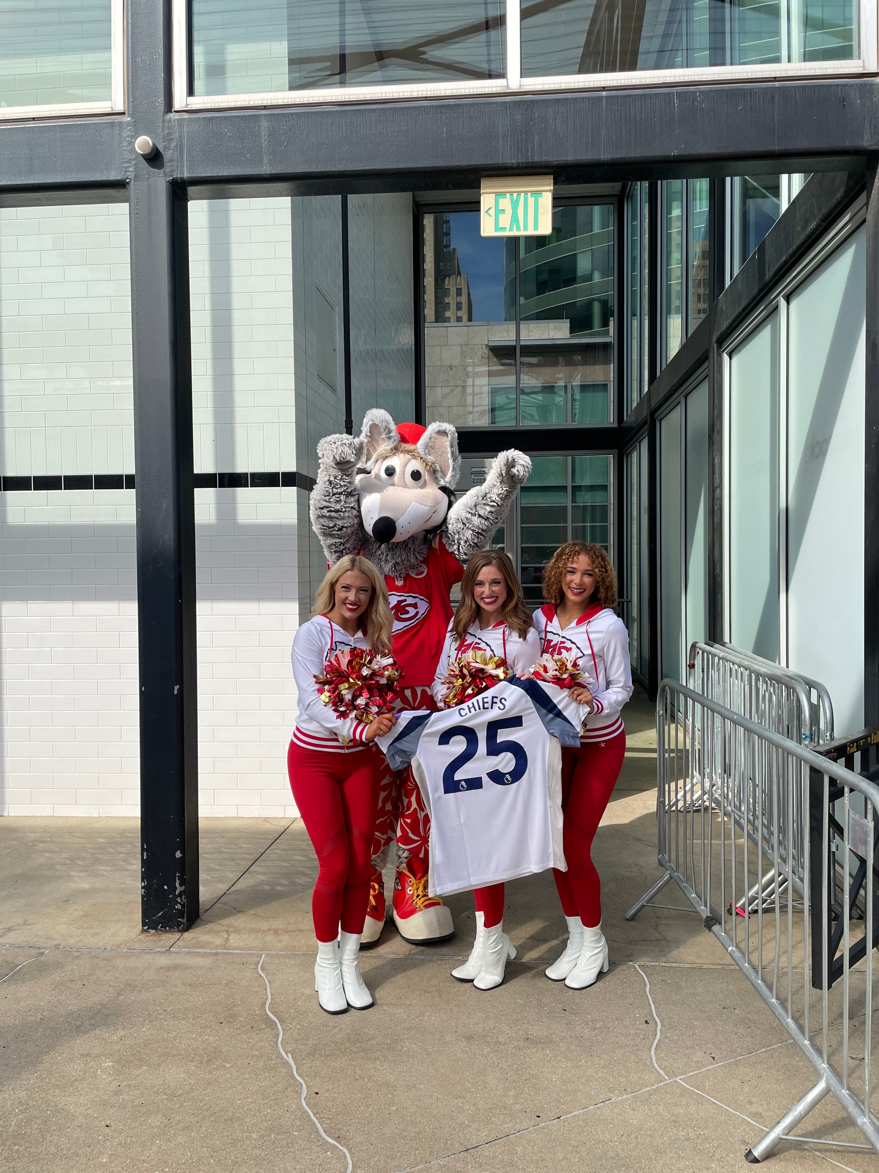 Aerial view of Premier League fan event crowd